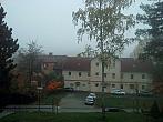 Borovina