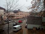 Borovina