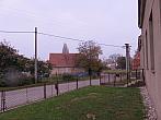Třibřichy