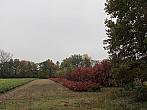 Neratovice