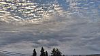 Tachov