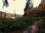 Borovina