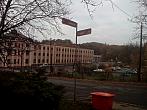 Borovina