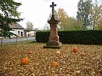 Třibřichy