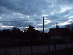 Třibřichy