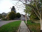 Třibřichy