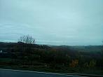 Borovina