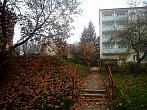 Borovina