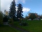 Borovina
