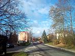 Borovina