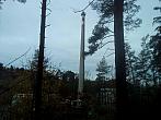 Borovina