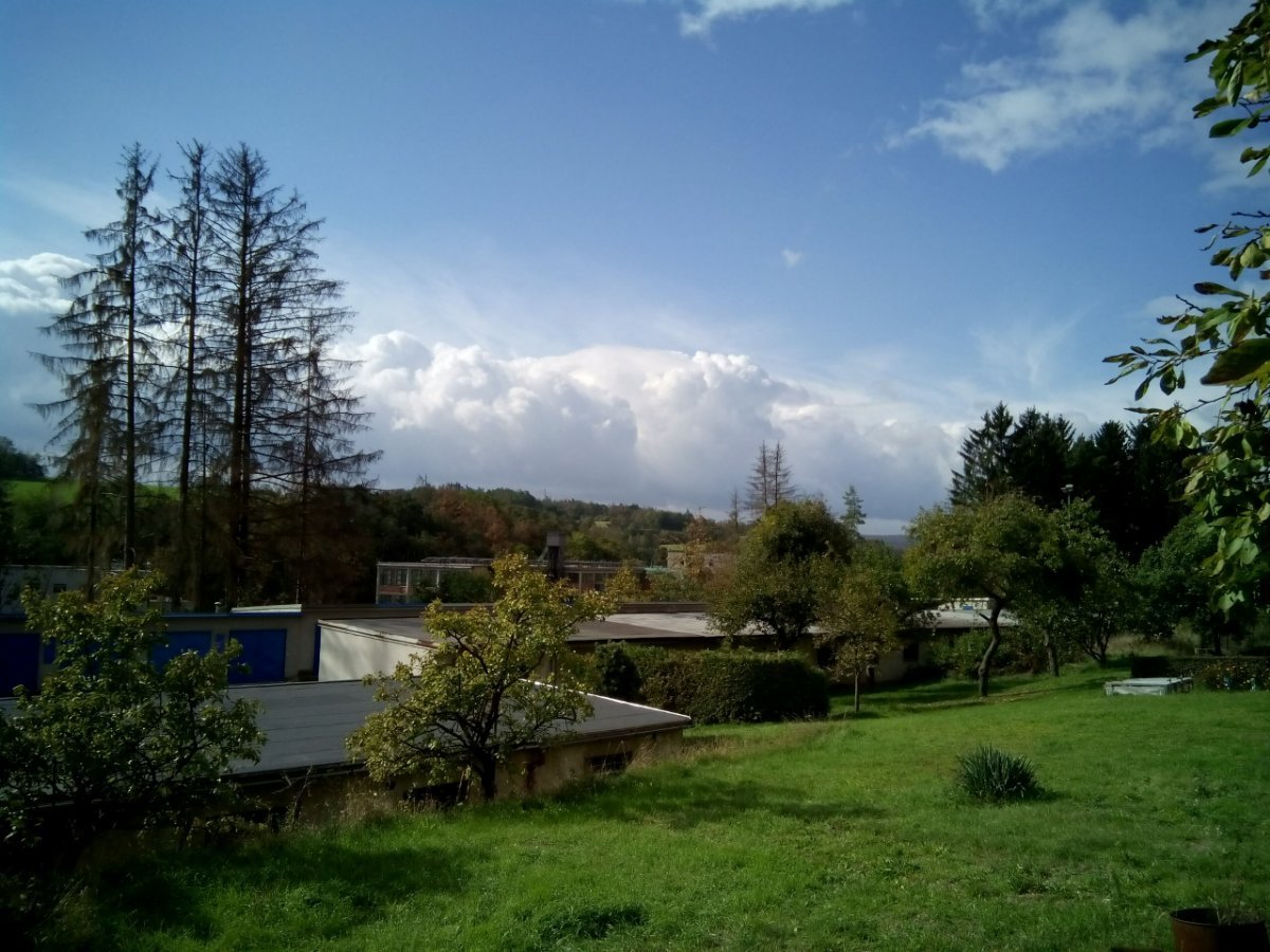 Borovina