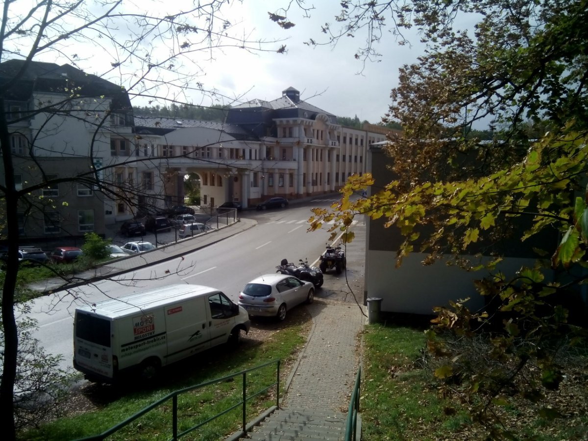 Borovina