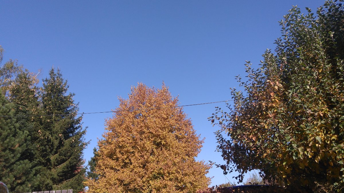 Tachov