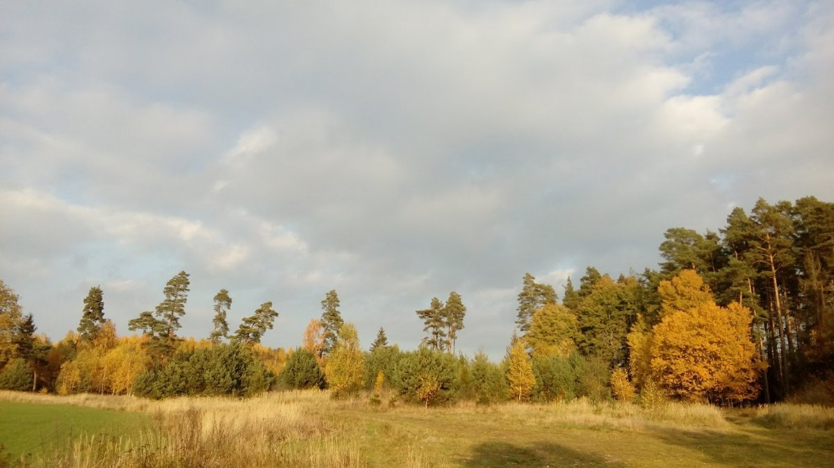 Vítkov