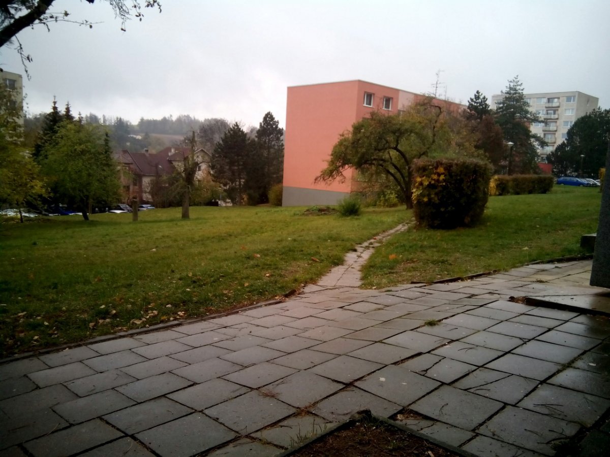 Borovina