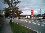 Borovina