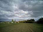 Borovina