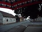Třibřichy