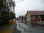 Třibřichy