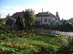 Třibřichy