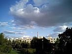 Borovina
