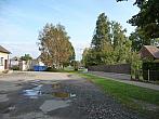 Třibřichy