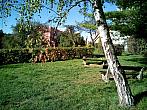 Borovina