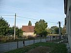 Třibřichy