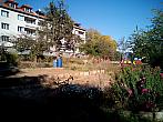 Borovina