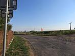 Třibřichy