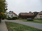 Třibřichy