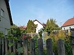 Třibřichy
