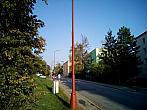 Borovina