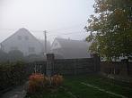 Třibřichy