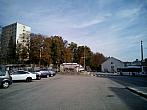 Borovina