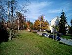 Borovina