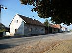 Třibřichy