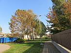 Třibřichy