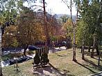 Borovina