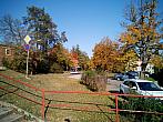 Borovina
