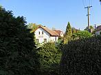 Třibřichy