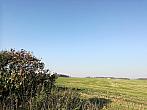 Hostákov