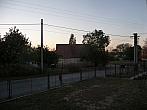 Třibřichy