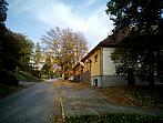 Borovina