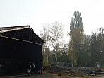 Třibřichy