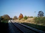 Borovina