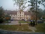 Borovina