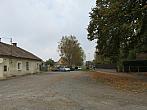 Třibřichy