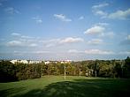 Borovina